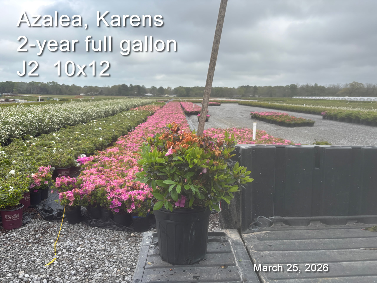 gallery/ka2yf j2 mar25.jpg